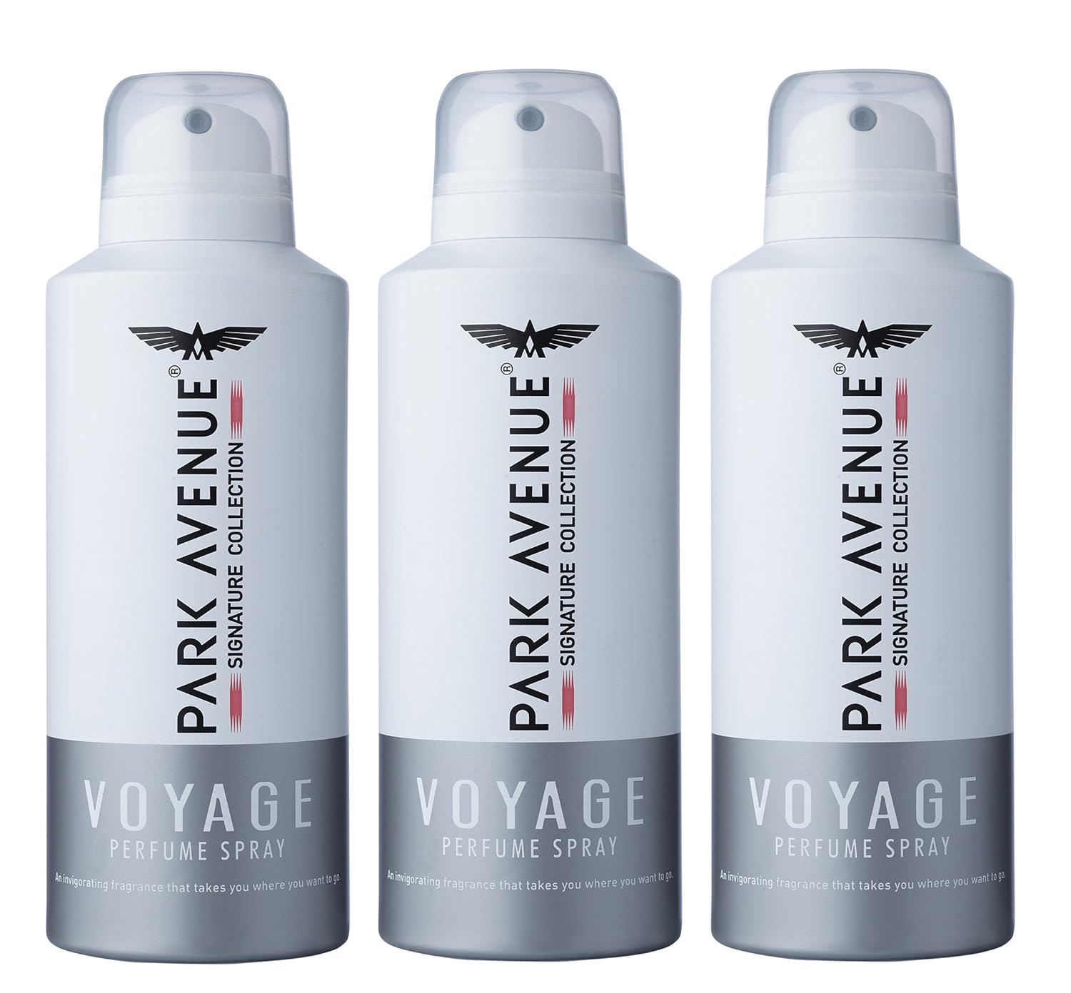 Park Avenue Voyage Signature Collection Perfume Spray for Men, 120ml (Pack of 3)