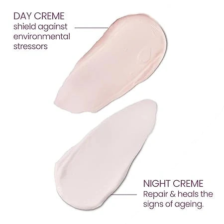 Lotus Herbals YouthRx Power Regimen Pack with Anti-Ageing Day Cream and Night Cream | Reduces Fine Lines, Wrinkles | Boosts Glow, Ginger and Ginseng | For Oily, Dry, Combination Skin | 100g