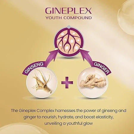 Lotus Herbals YouthRx Power Regimen Pack with Anti-Ageing Day Cream and Night Cream | Reduces Fine Lines, Wrinkles | Boosts Glow, Ginger and Ginseng | For Oily, Dry, Combination Skin | 100g