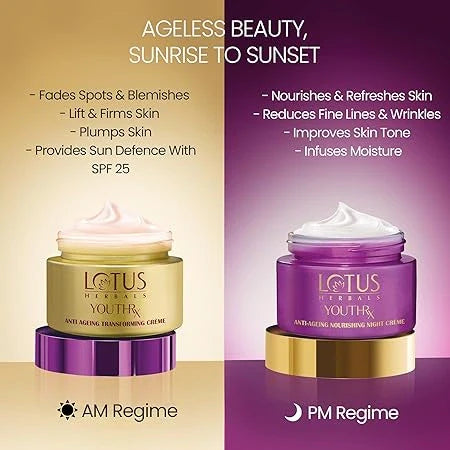 Lotus Herbals YouthRx Power Regimen Pack with Anti-Ageing Day Cream and Night Cream | Reduces Fine Lines, Wrinkles | Boosts Glow, Ginger and Ginseng | For Oily, Dry, Combination Skin | 100g
